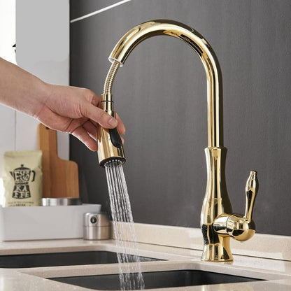 Robinet de Cuisine Rétractable | Élégance et Flexibilité Pratiques