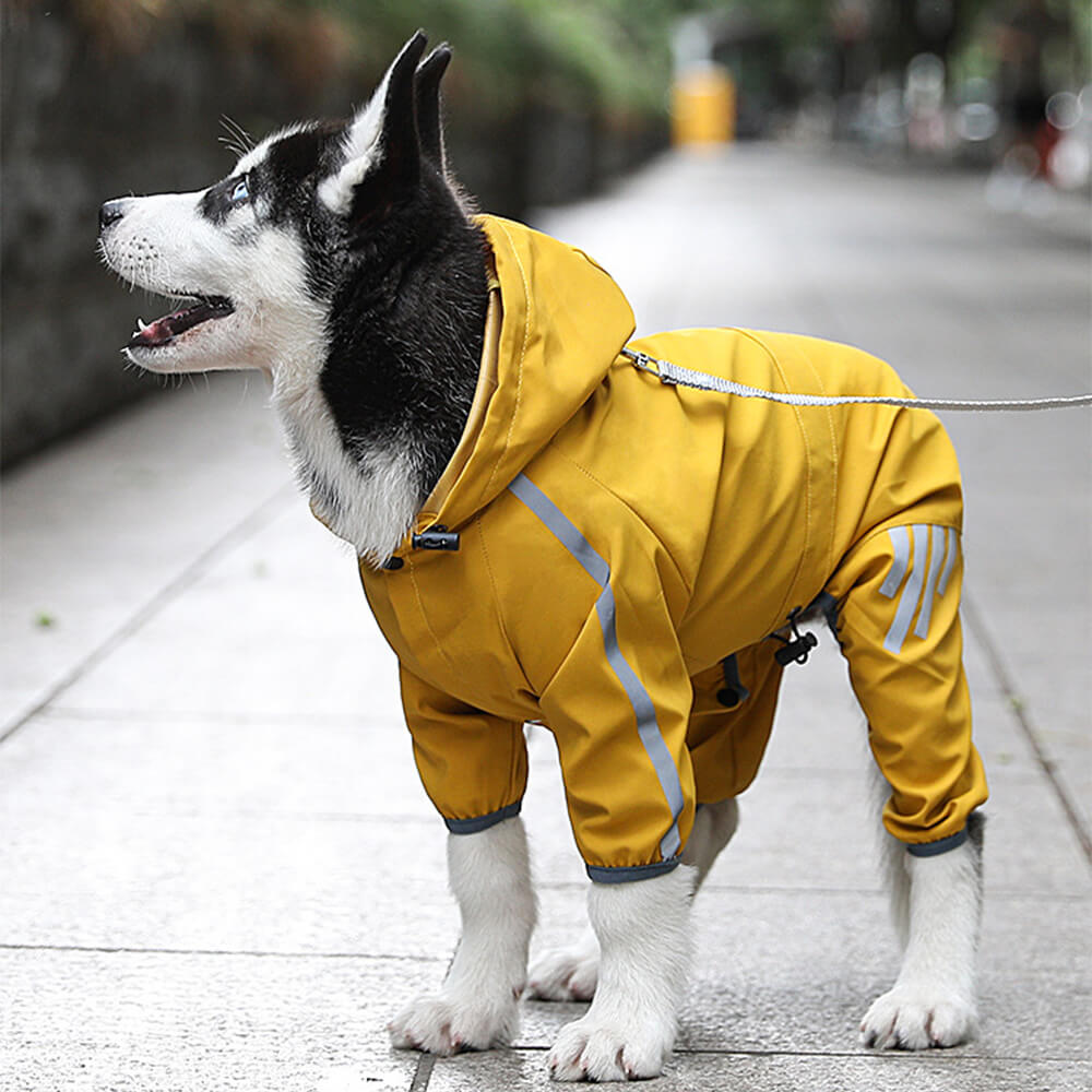 Imperméable pour Chien Réglable | Protection Ultime sous la Pluie