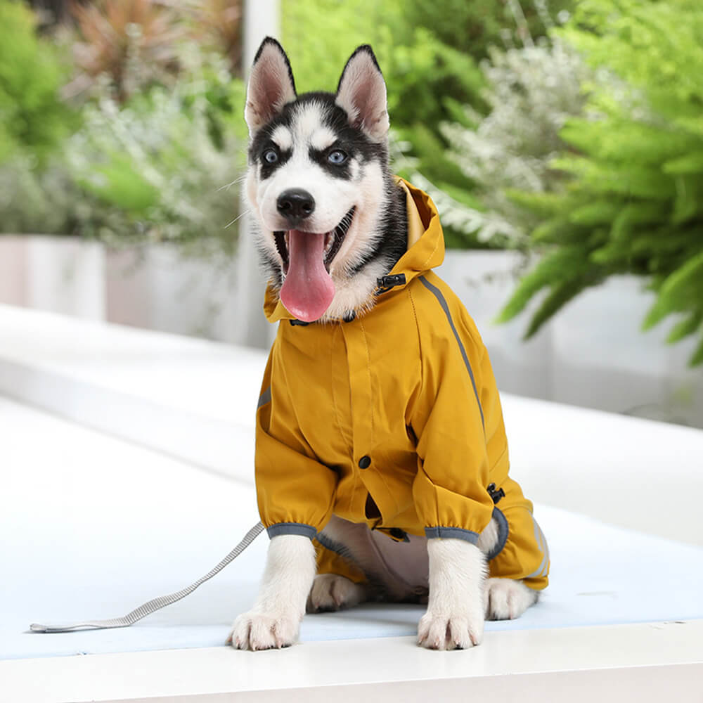 Imperméable pour Chien Réglable | Protection Ultime sous la Pluie