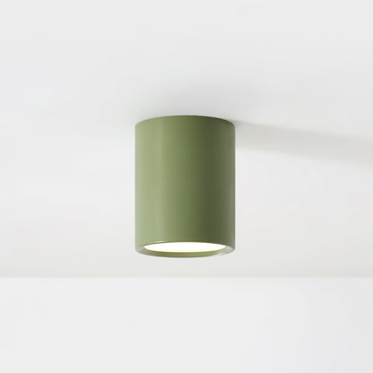 Luminaire de Plafond Élégant | Éclairage Doux et Diffus pour Intérieur