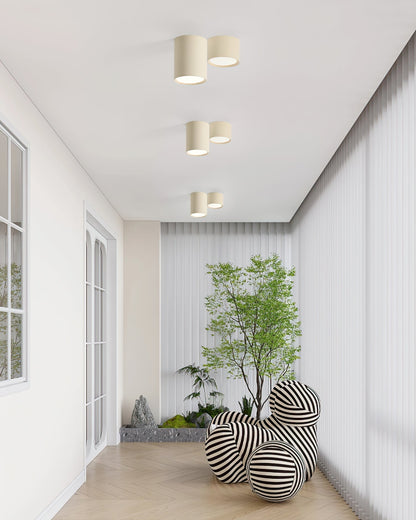 Luminaire de Plafond Élégant | Éclairage Doux et Diffus pour Intérieur
