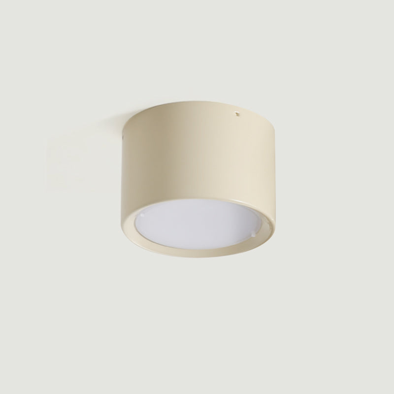Luminaire de Plafond Élégant | Éclairage Doux et Diffus pour Intérieur