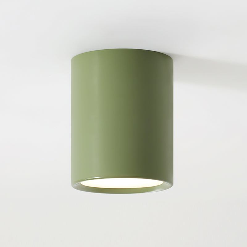Luminaire de Plafond Élégant | Éclairage Doux et Diffus pour Intérieur
