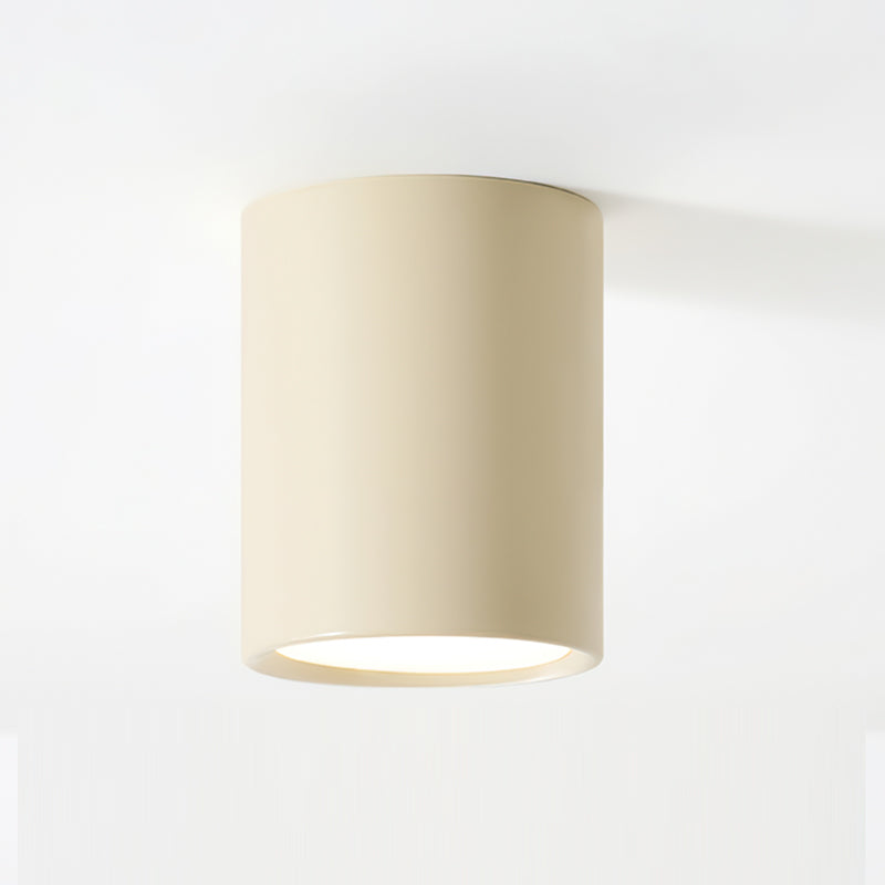 Luminaire de Plafond Élégant | Éclairage Doux et Diffus pour Intérieur