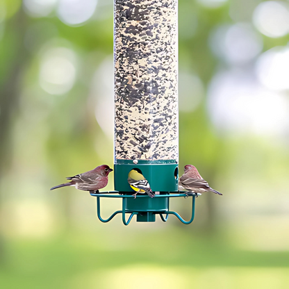 Maison pour Oiseaux Résistante aux Écureuils | Protection Sûre et Durable pour Nourriture