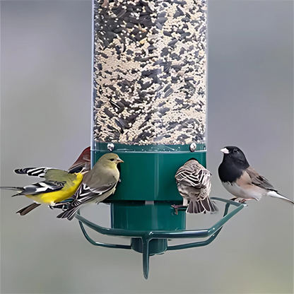 Maison pour Oiseaux Résistante aux Écureuils | Protection Sûre et Durable pour Nourriture