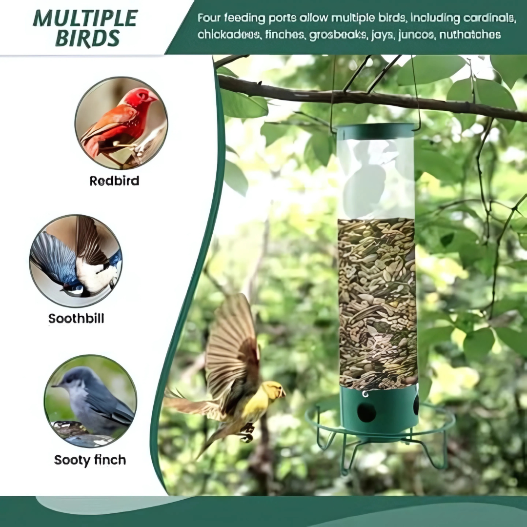 Maison pour Oiseaux Résistante aux Écureuils | Protection Sûre et Durable pour Nourriture