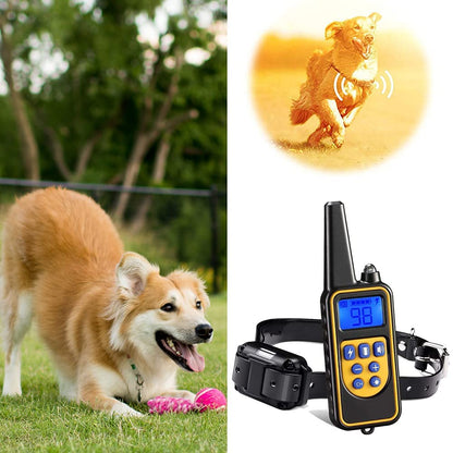 Collier de Dressage pour Chien | Rechargeable, Étanche et Longue Portée
