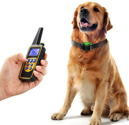 Collier de Dressage pour Chien | Rechargeable, Étanche et Longue Portée
