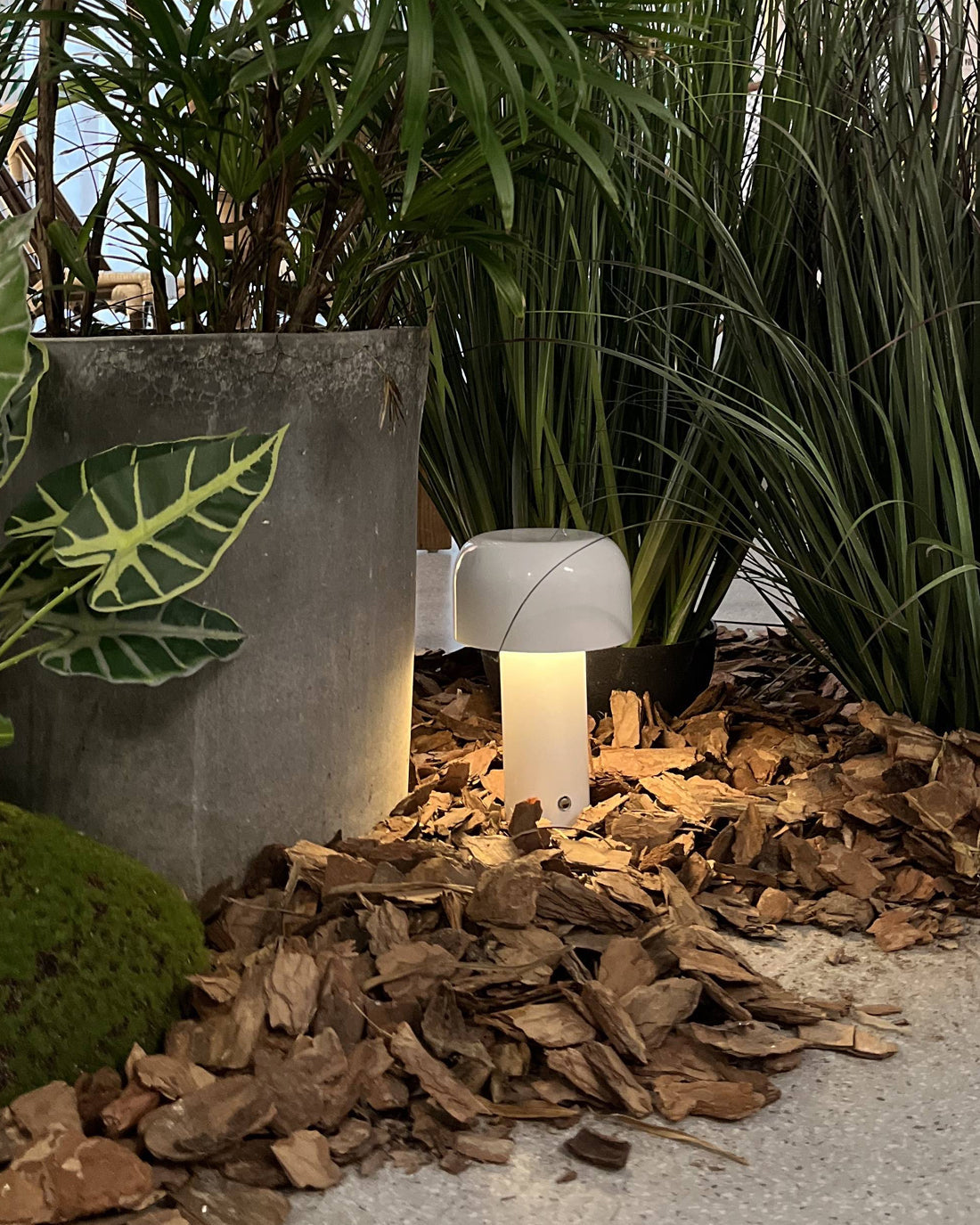Lampe LED Rechargeable Portable | Design Élégant et Fonctionnel