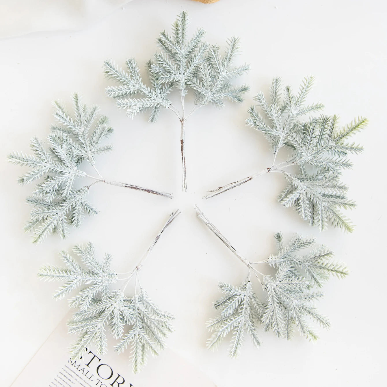 Décoration de Feuilles de Cactus | Touche Naturelle et Bohème pour Intérieur