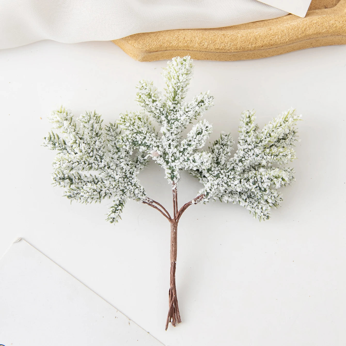 Décoration de Feuilles de Cactus | Touche Naturelle et Bohème pour Intérieur