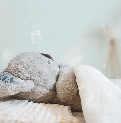 Compagnon de Respiration Relaxante | Apaisement et Sommeil Réparateur