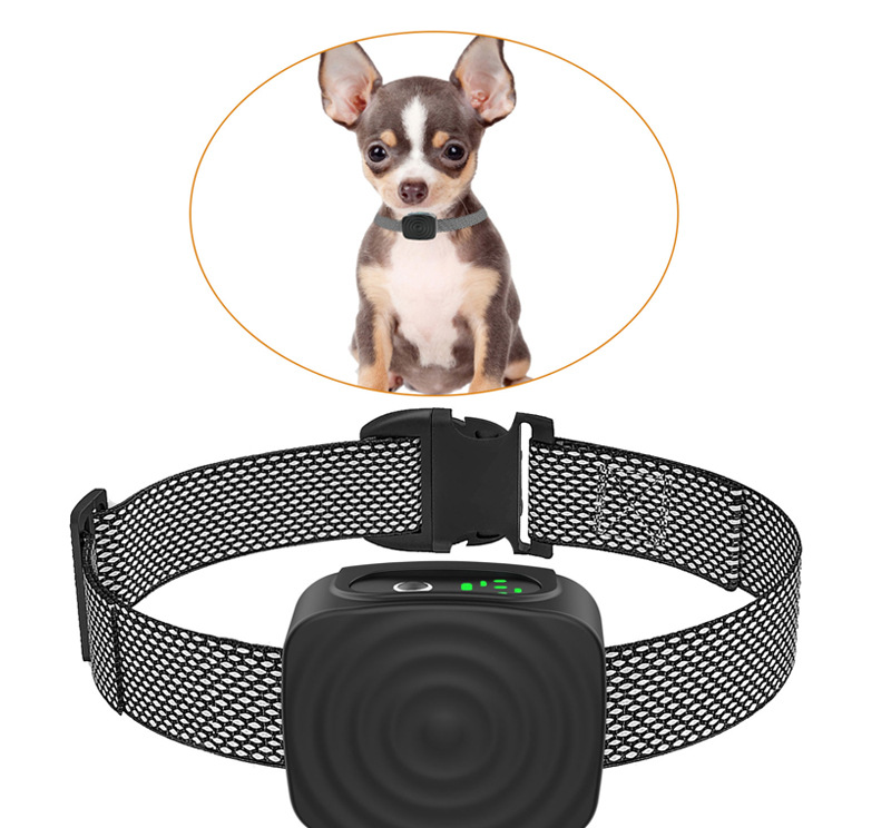 Collier Anti-aboiement pour Petits Chiens | Entraînement Doux et Sûr avec Vibration