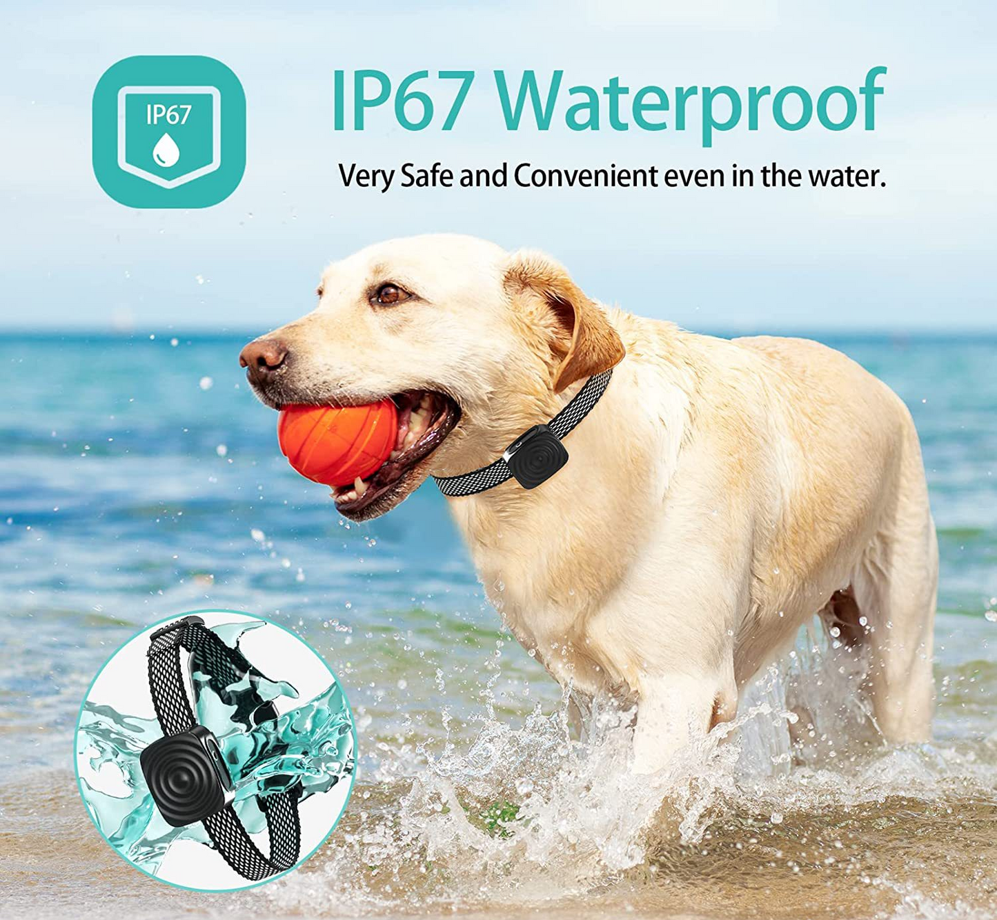 Collier Anti-aboiement pour Petits Chiens | Entraînement Doux et Sûr avec Vibration
