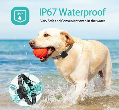 Collier Anti-aboiement pour Petits Chiens | Entraînement Doux et Sûr avec Vibration