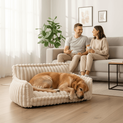 Canapé Orthopédique pour Chien | Confort et Soutien avec Mousse à Mémoire