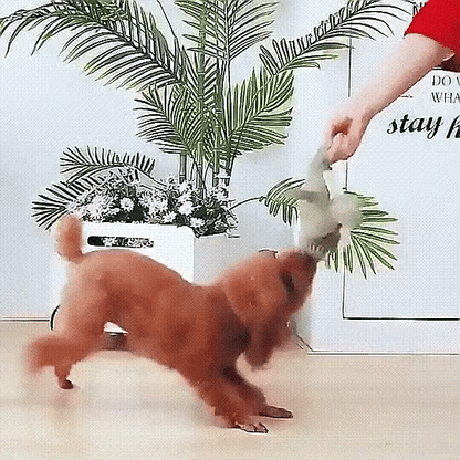 Jouet Durable pour Chien avec Sifflet | Idéal pour Mâcheurs Puissants et Actifs
