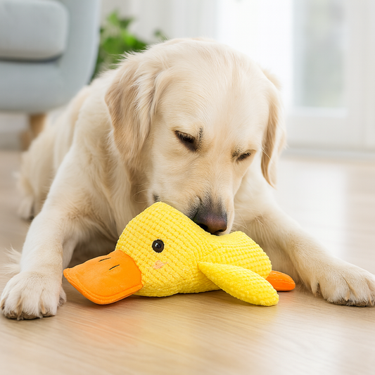 Jouet pour Chien en Peluche | Doux, Durable et Avec Couinement