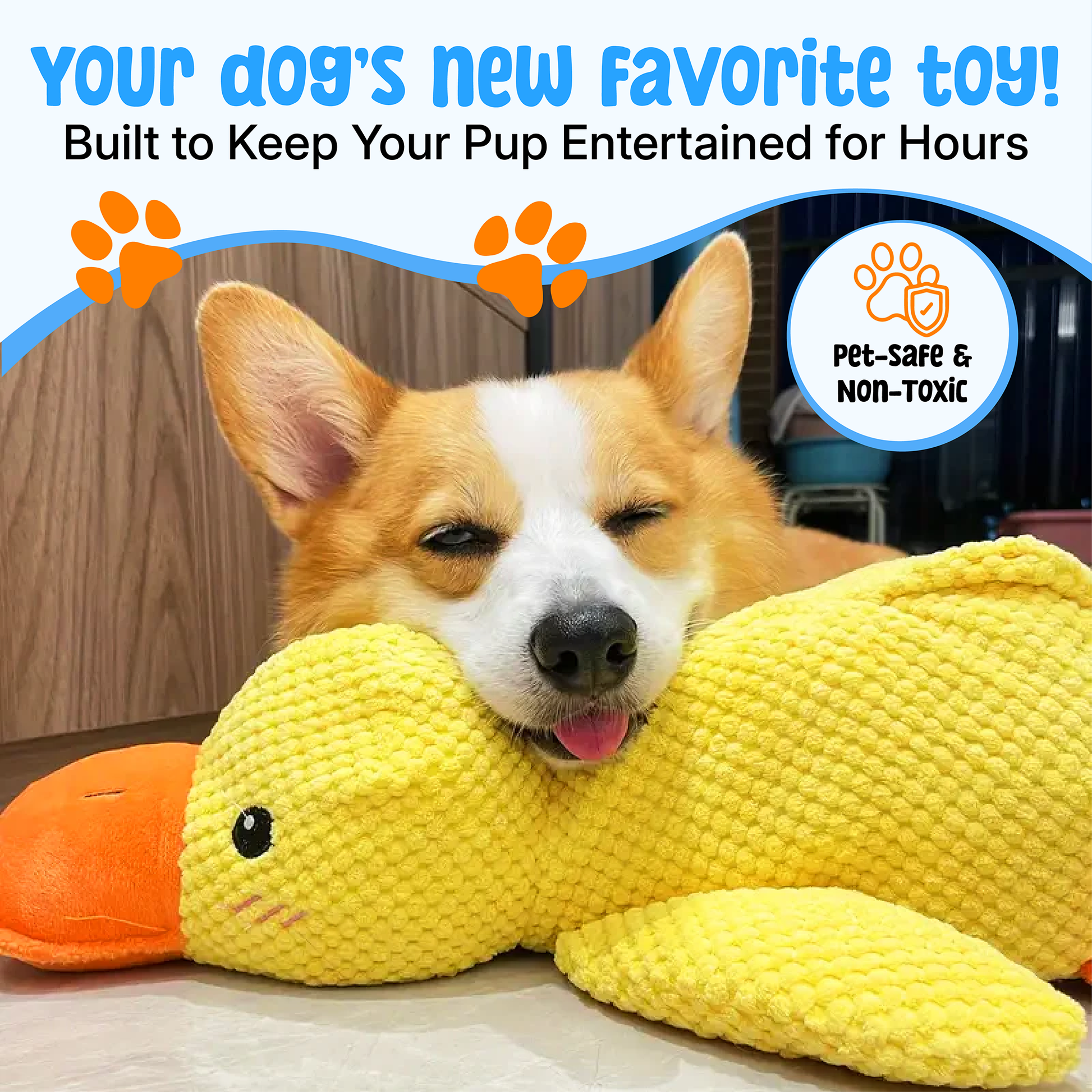 Jouet pour Chien en Peluche | Doux, Durable et Avec Couinement
