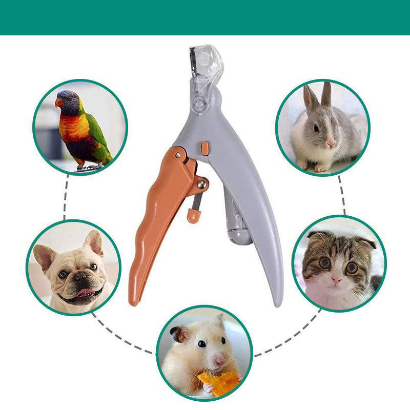 Coupe-Ongles pour Chiens en Acier Inoxydable | Capteur Rapide et Sécurité Intégrée