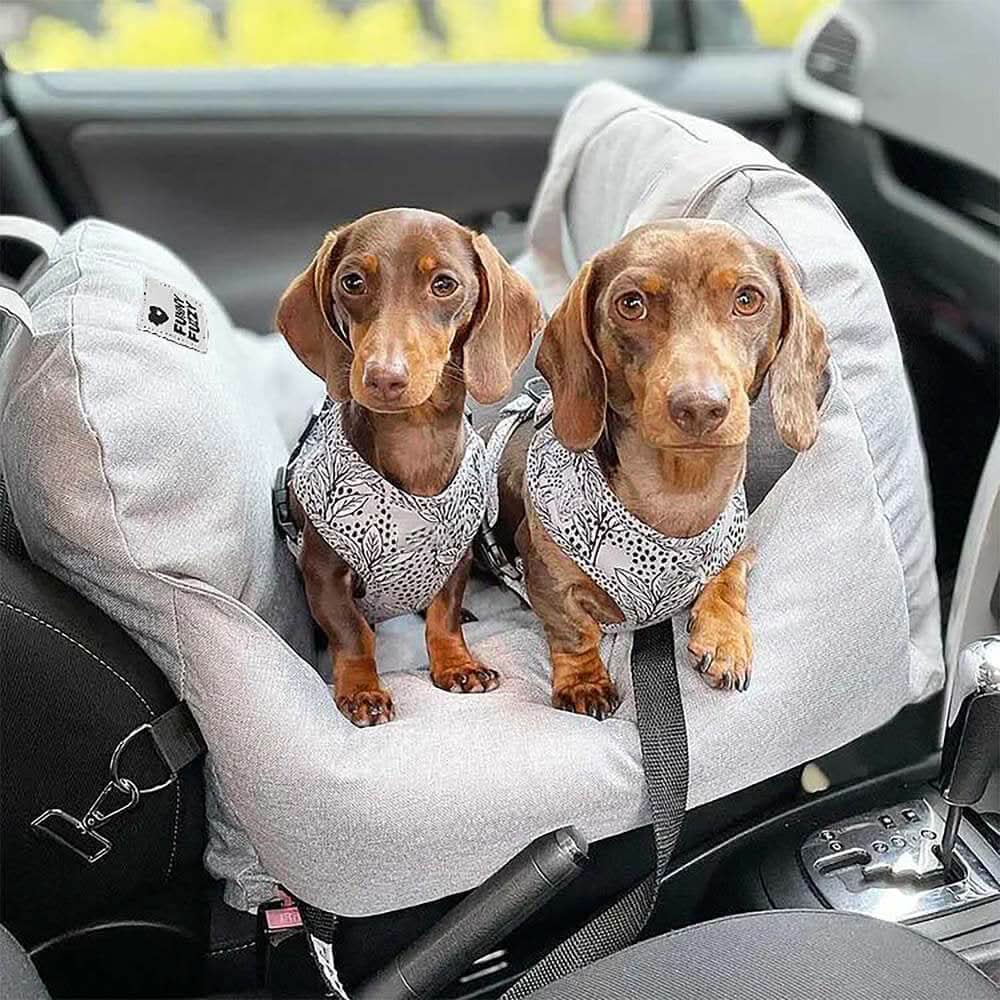 Lit de Siège pour Chien Ajustable | Confort et Sécurité en Voyage