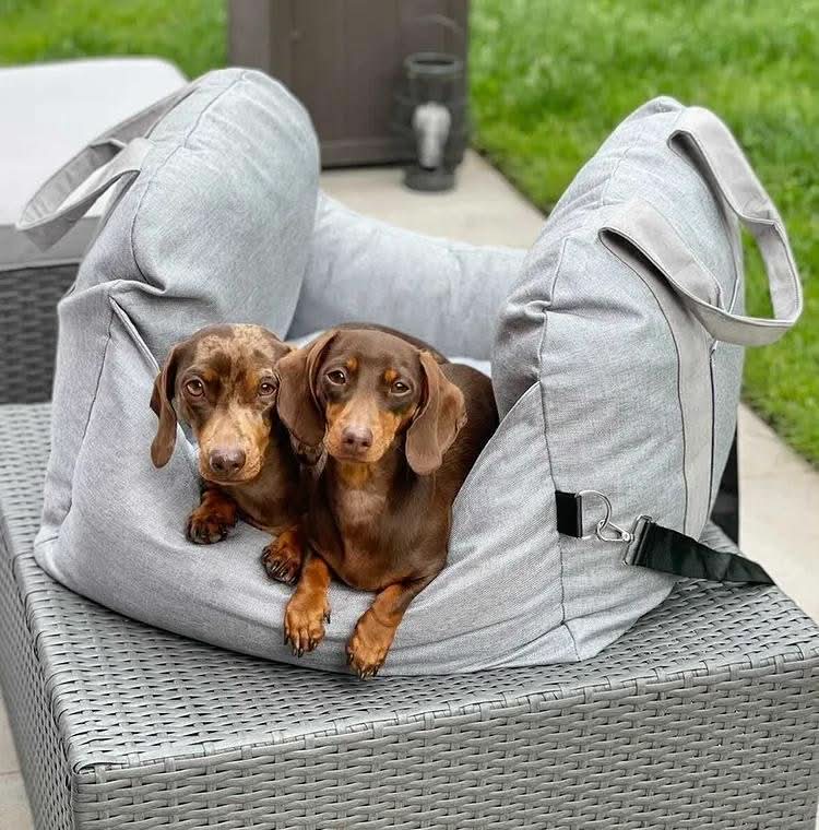 Lit de Siège pour Chien Ajustable | Confort et Sécurité en Voyage