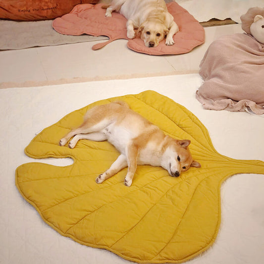 Couverture pour Chien Grande Taille | Douceur et Élégance pour Animaux