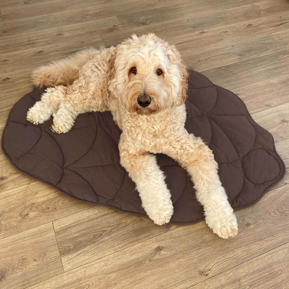 Couverture pour Chien Grande Taille | Douceur et Élégance pour Animaux