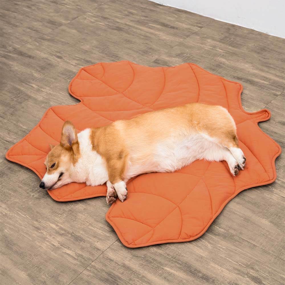 Couverture pour Chien Grande Taille | Douceur et Élégance pour Animaux