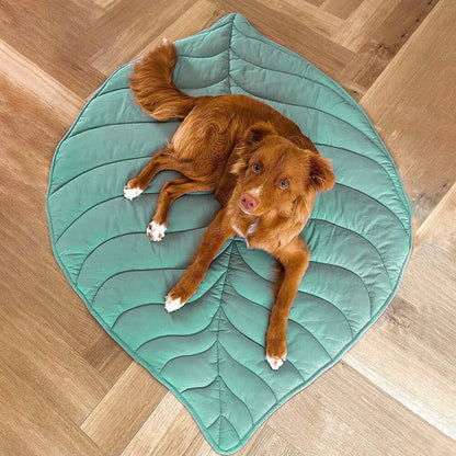 Couverture pour Chien Grande Taille | Douceur et Élégance pour Animaux