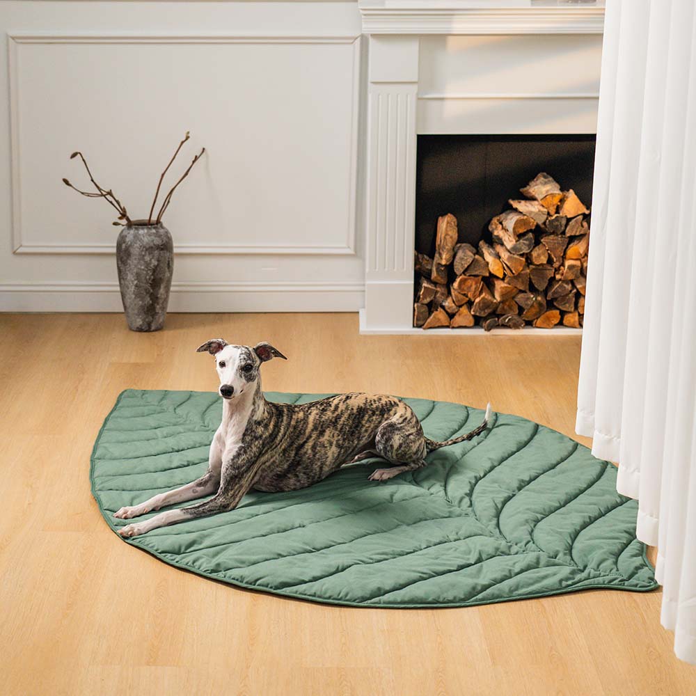 Couverture pour Chien Grande Taille | Douceur et Élégance pour Animaux
