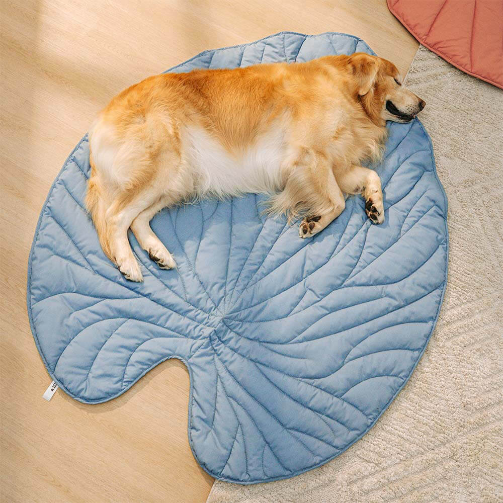 Couverture pour Chien Grande Taille | Douceur et Élégance pour Animaux