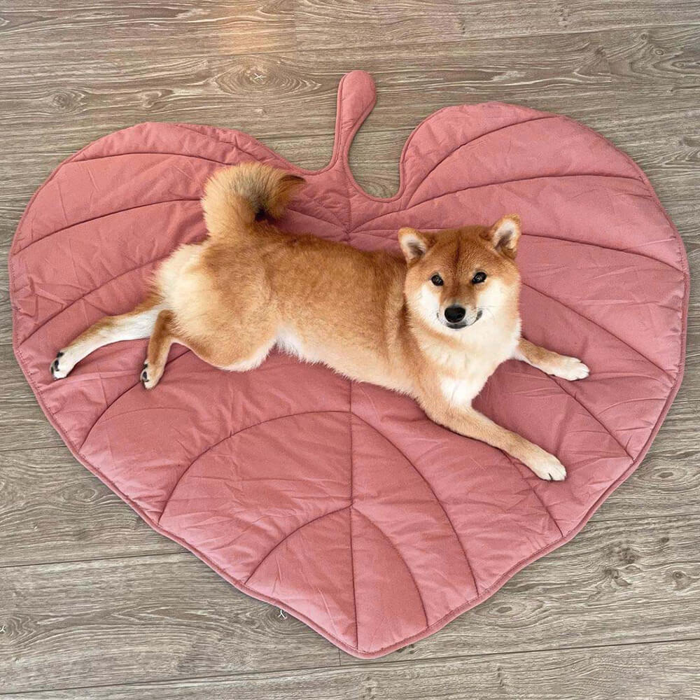 Couverture pour Chien Grande Taille | Douceur et Élégance pour Animaux