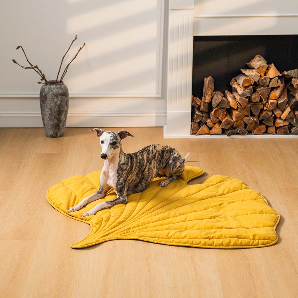 Couverture pour Chien Grande Taille | Douceur et Élégance pour Animaux