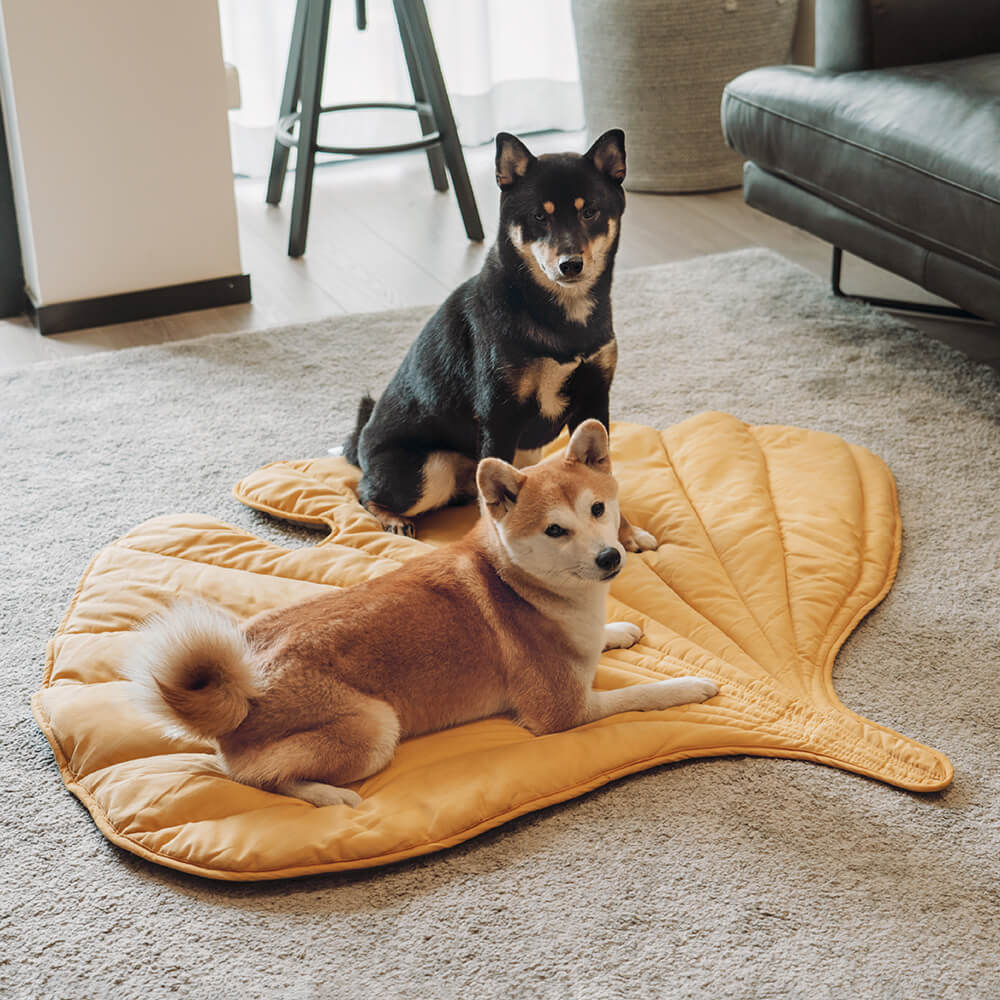 Couverture pour Chien Grande Taille | Douceur et Élégance pour Animaux