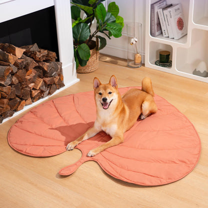 Couverture pour Chien Grande Taille | Douceur et Élégance pour Animaux