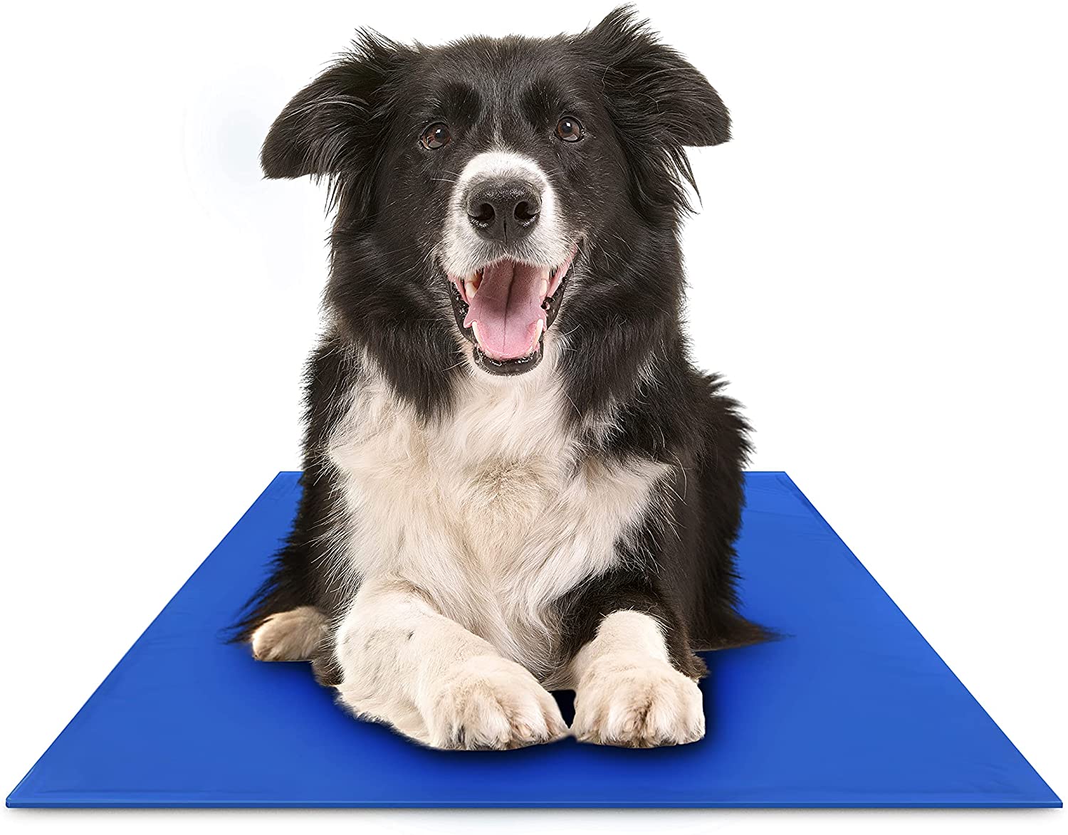 Tapis Rafraîchissants pour Chiens | Confort et Fraîcheur en Été