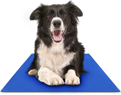 Tapis Rafraîchissants pour Chiens | Confort et Fraîcheur en Été