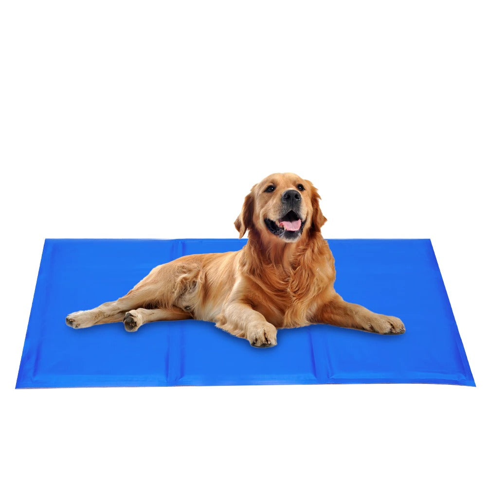 Tapis Rafraîchissants pour Chiens | Confort et Fraîcheur en Été