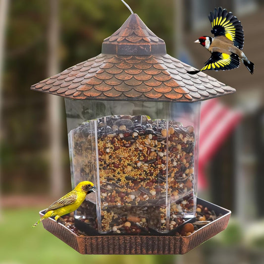 Mangeoire à Oiseaux Suspendue | Élégante et Durable avec Réservoir Transparent