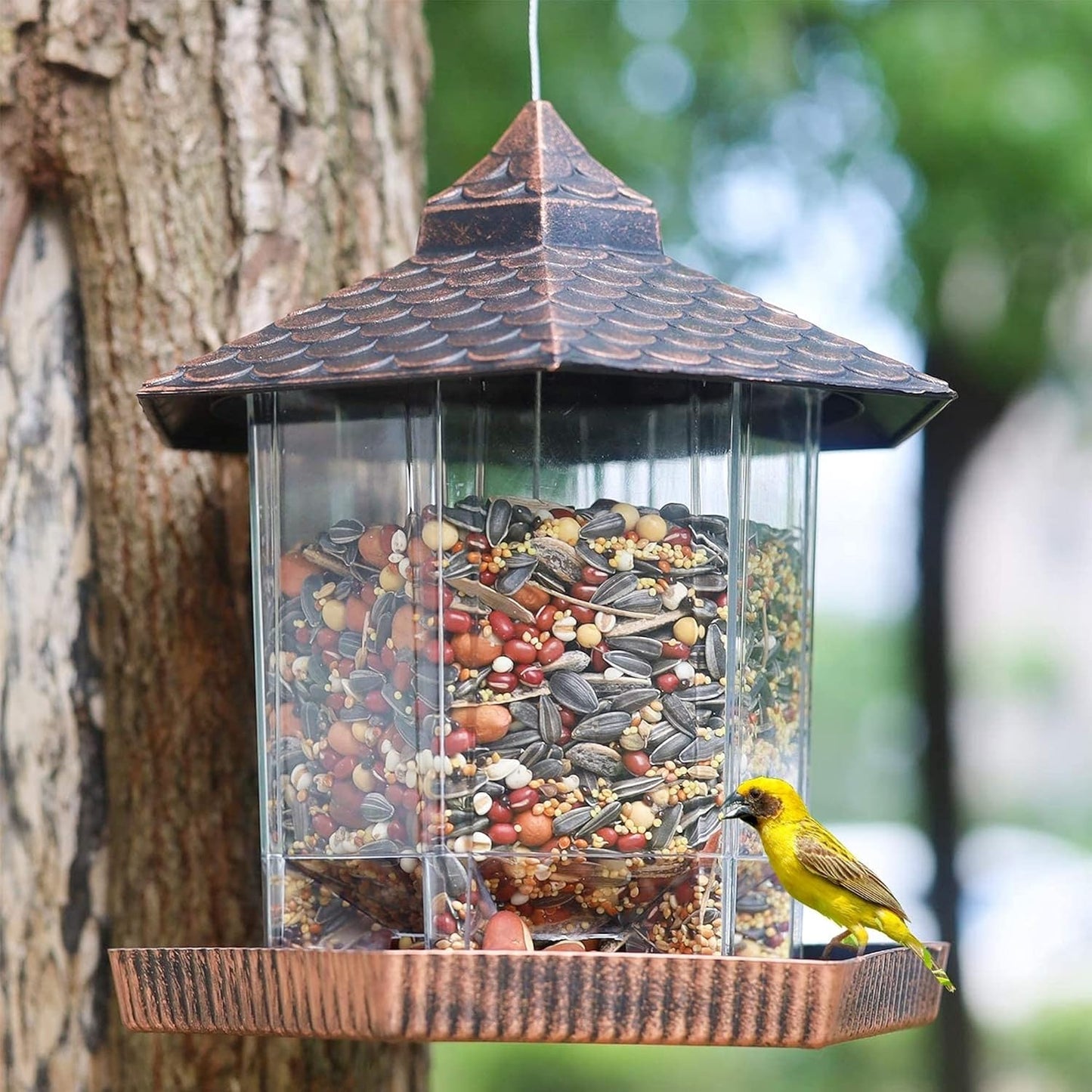 Mangeoire à Oiseaux Suspendue | Élégante et Durable avec Réservoir Transparent