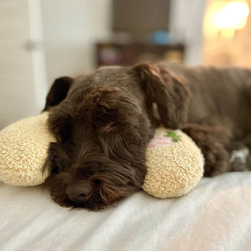 Lit pour Chien Apaisant | Molleton Doux pour Réduire l'Anxiété