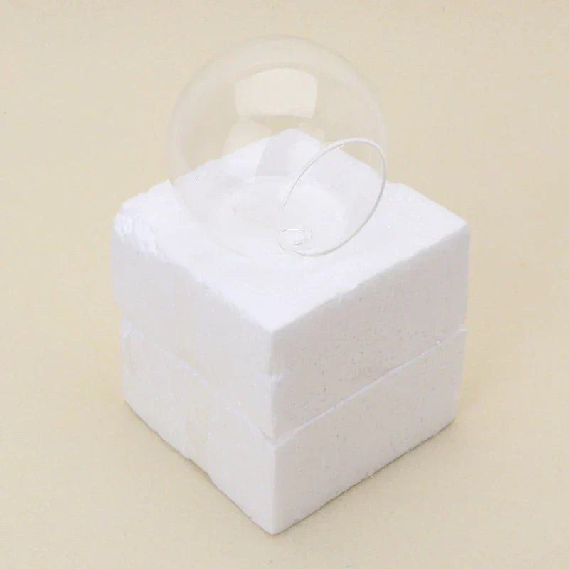 Vase Flottant en Verre | Décoration Hydroponique Élégante et Unique