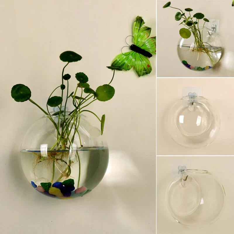 Vase Flottant en Verre | Décoration Hydroponique Élégante et Unique