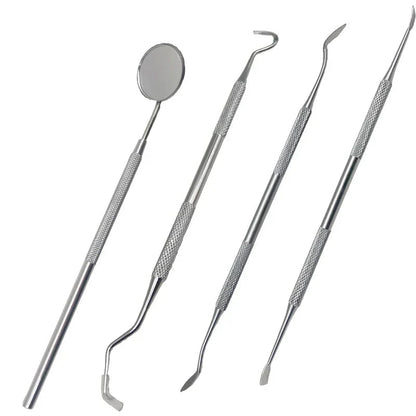 Outils Dentaires en Acier Inoxydable | Nettoyage Professionnel à Domicile