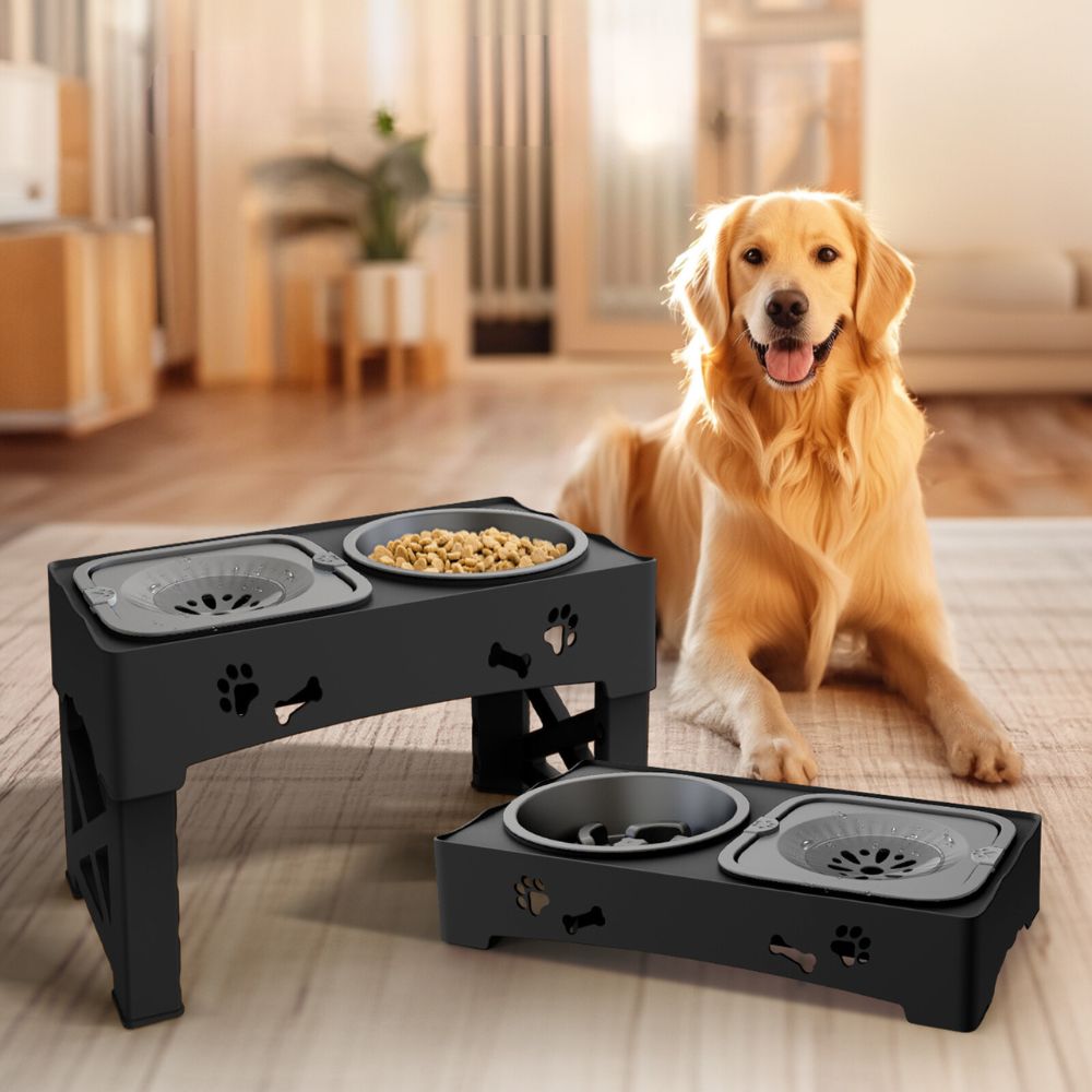 Bol pour Chien Surélevé Réglable | Design Stable et Alimentation Saine
