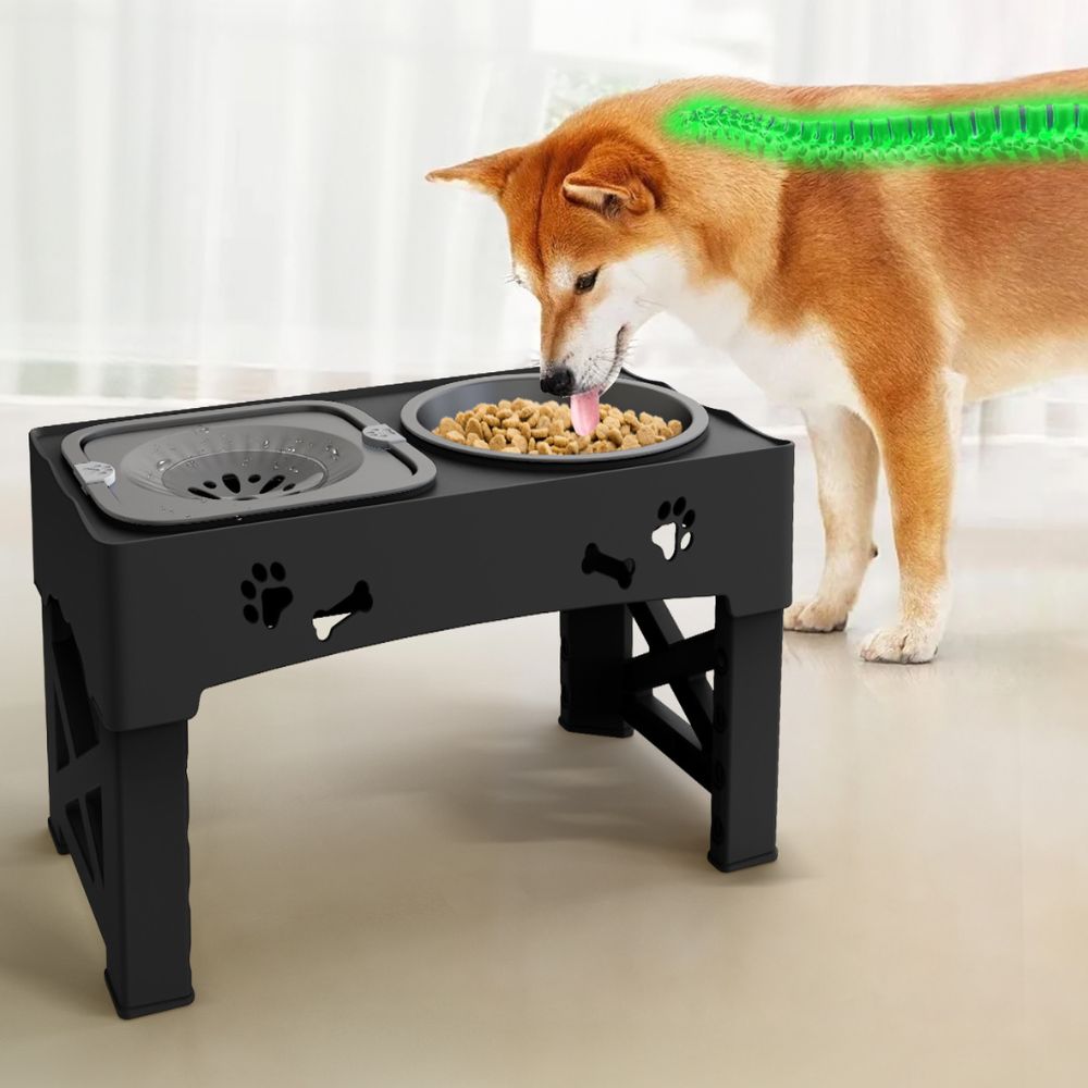 Bol pour Chien Surélevé Réglable | Design Stable et Alimentation Saine