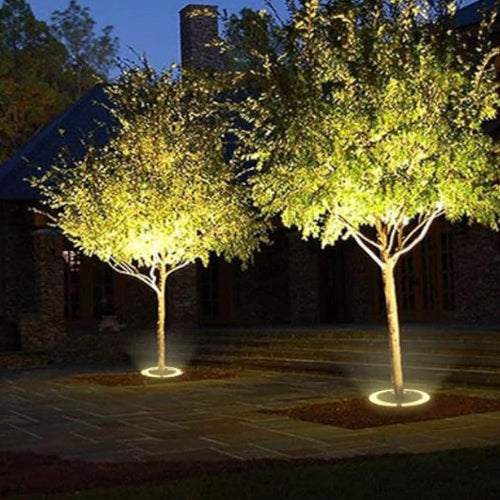 Projecteurs d'extérieur LED | Éclairage Chaud et Élégant pour Jardin