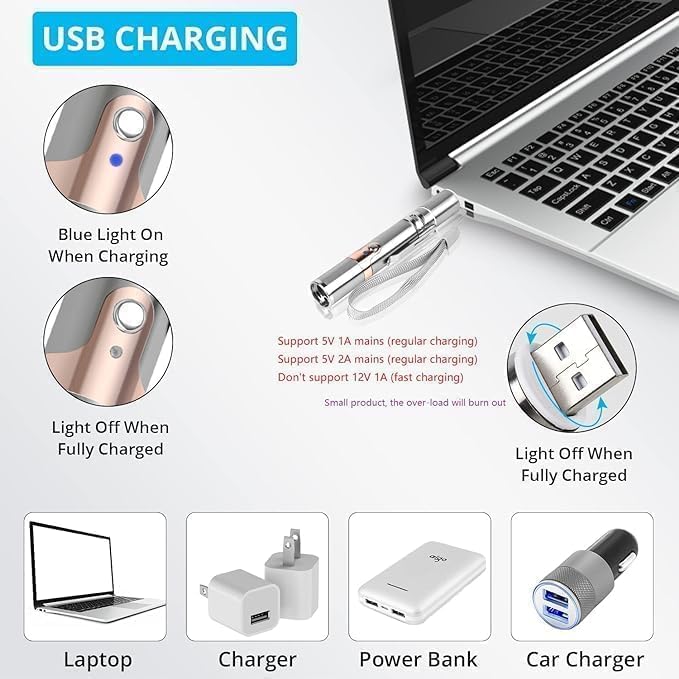 Jouet Laser Rechargeable pour Chats | Amusement Intérieur avec Modes Variés